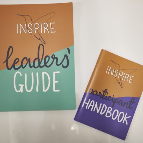 Mixed Youth Self-Worth Course (Inspire)