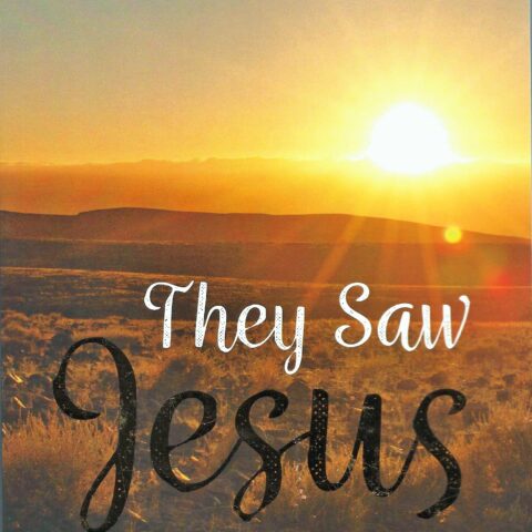 They Saw Jesus - Modern Day Accounts of Face to Face Encounters with Jesus Christ.