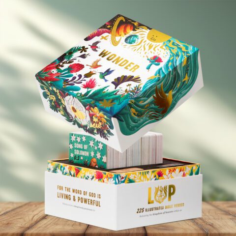 Wonder Gift Set -NKJV