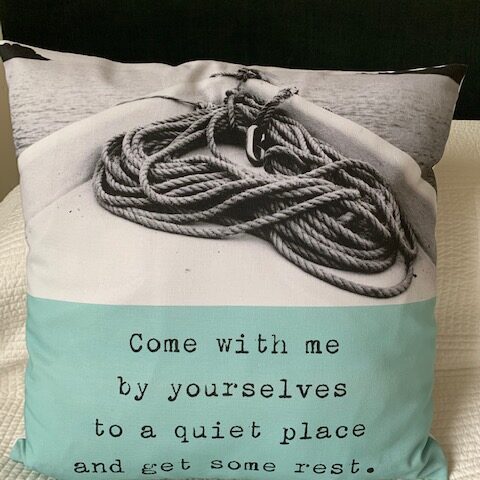 Quiet Place Cushion Cover: Aqua