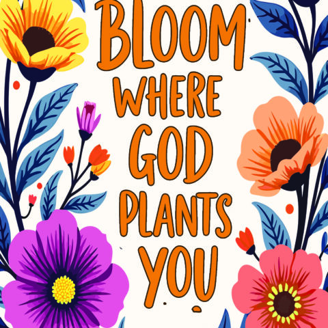 Bloom Notebook