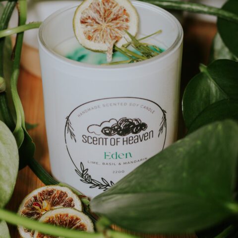 Eden - Lime, Basil & Mandarin Scented Candle
