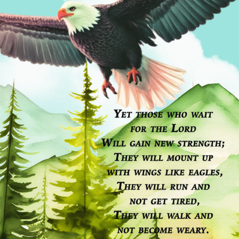 Under Eagles Wings Notebook
