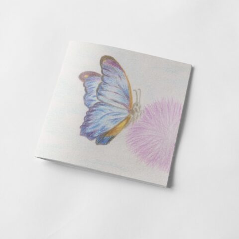 Blue Butterfly Perching on a Pink Flower