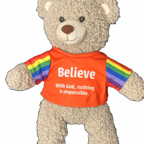 An image of Believe Bear - a 40cm teddy bear with Christian messaging