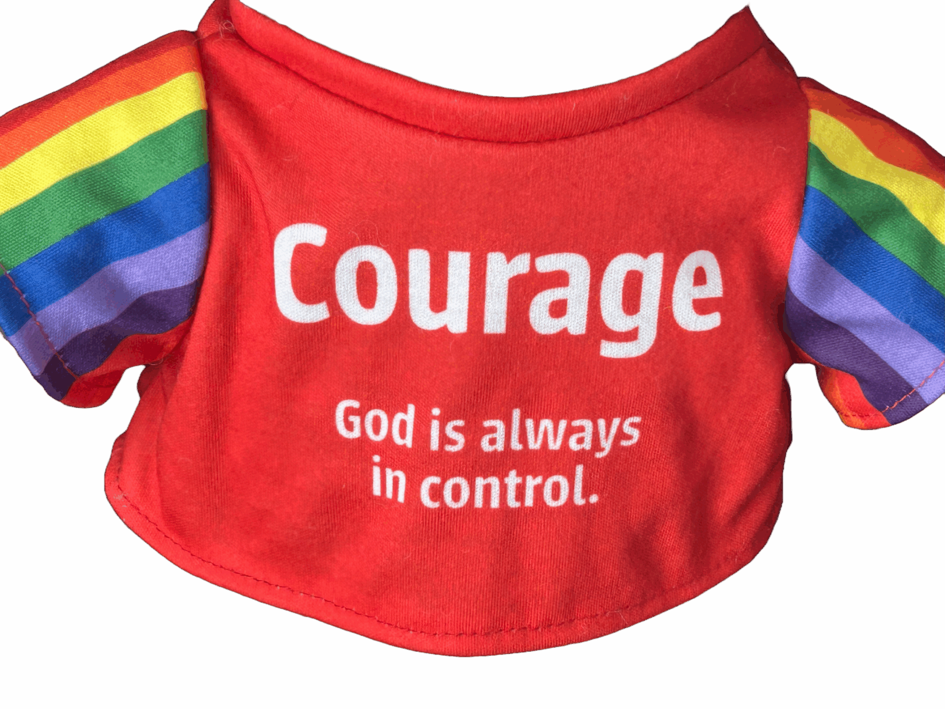 T-shirt for 40cm Courage Bear.
