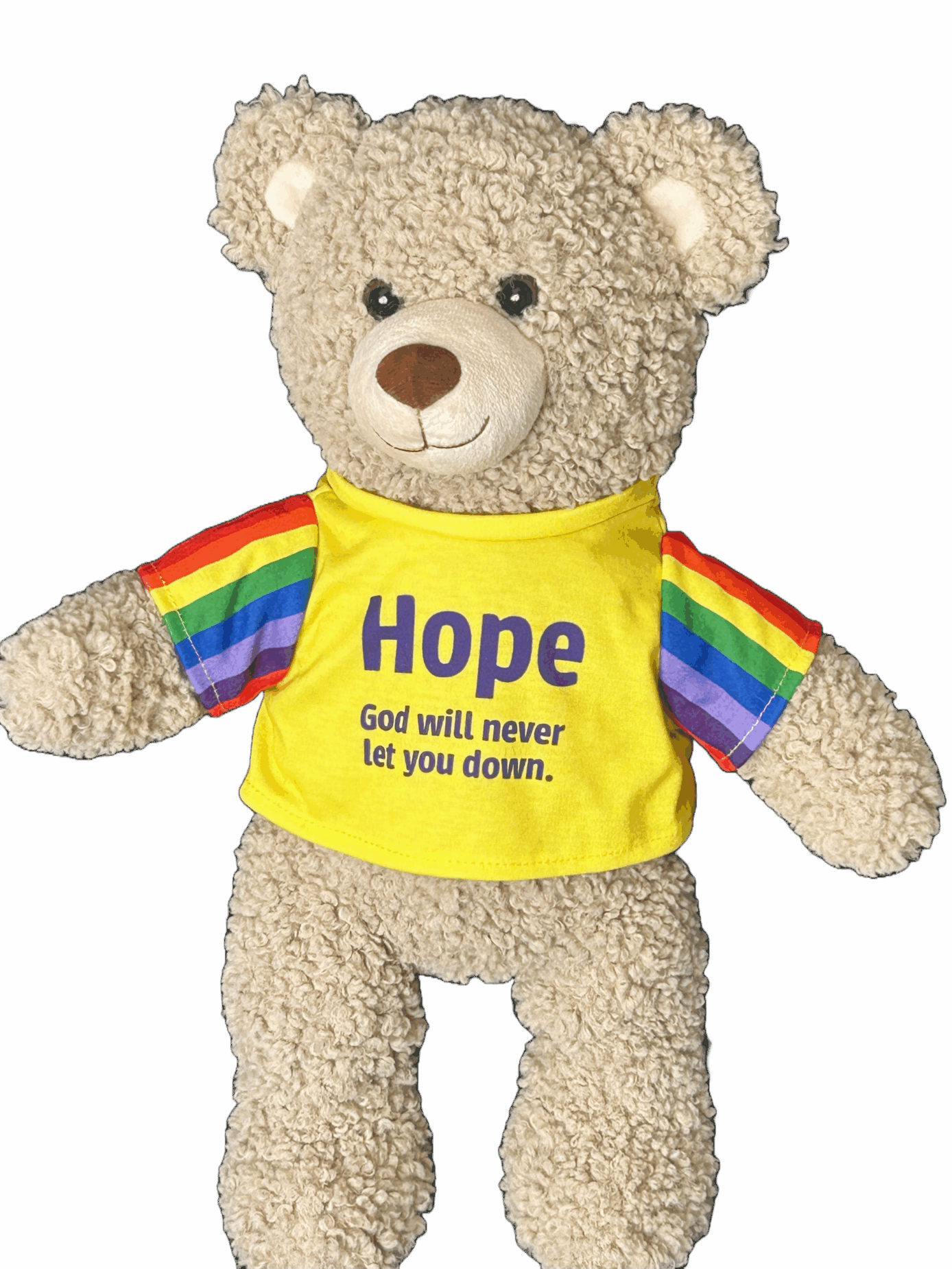 An image of Hope Bear - a 40cm Teddy Bear with Christian messaging.
