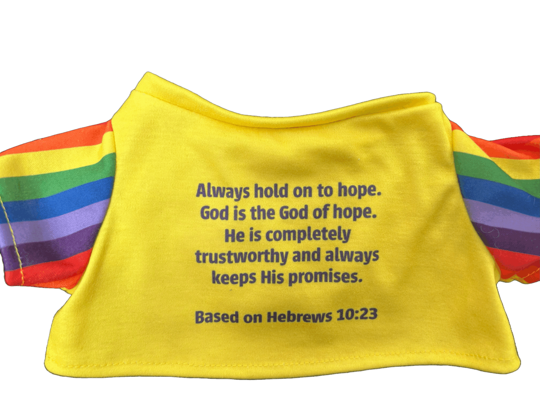 An image of the rear view of Hope Bear's T-shirt.