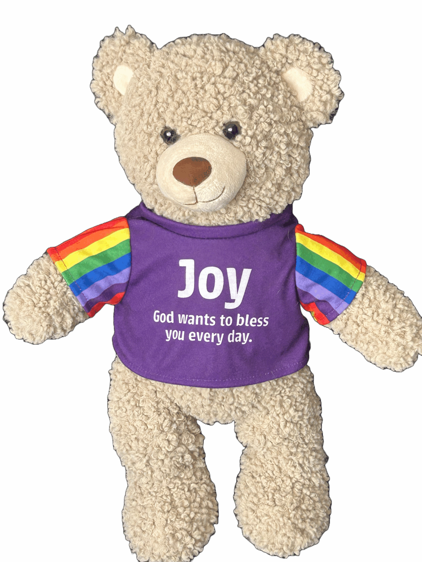 Image of 40cm custom made Joy Bear