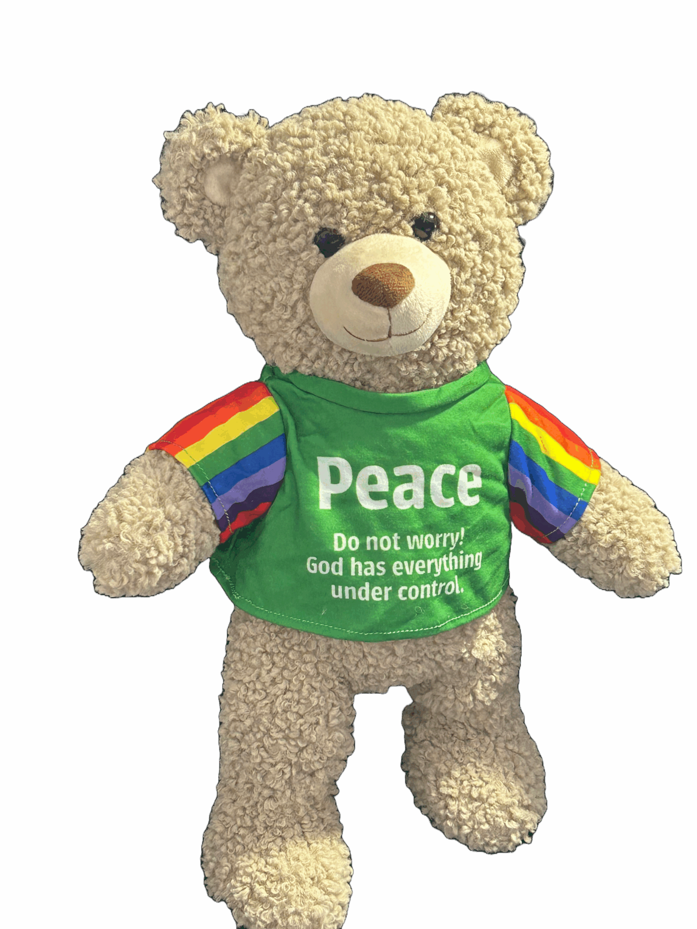 An image of Peace Bear - a 40cm Promise Bear.