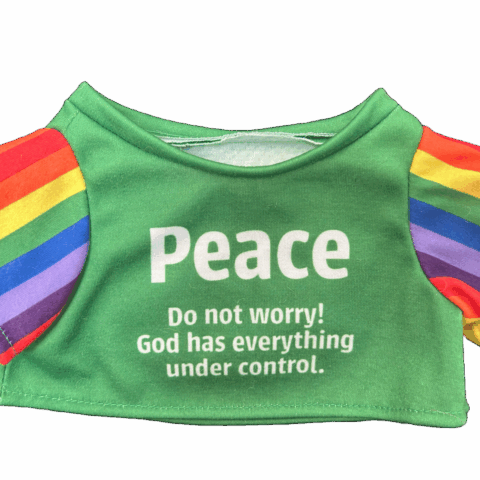An Image of Peace Bear's green T-shirt