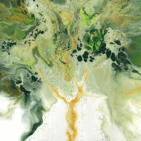 SplashSide2