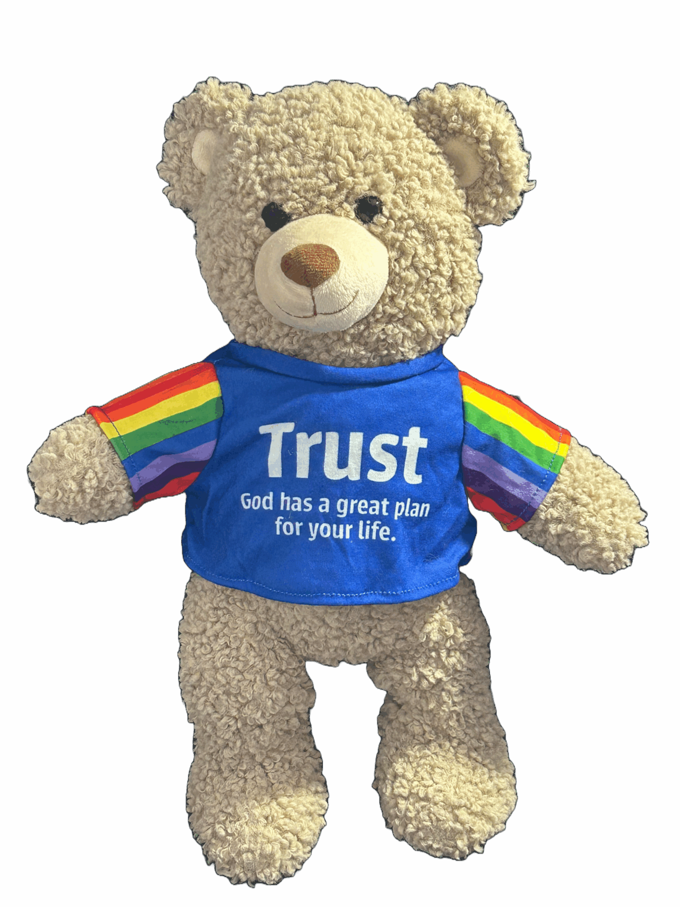Image of Trust Bear wearing a blue T-shirt