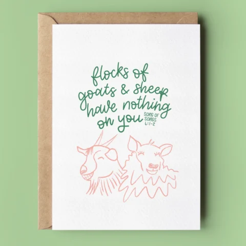 Flocks Have Nothing On You Funny Anniversary/Valentine's Card | Song of Songs 4