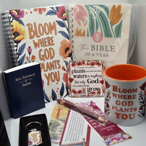 My Little Box of Faith Bloom