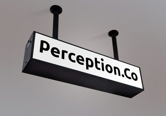 PerceptionCo_LOGO